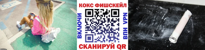 Cocaine FishScale  как найти   Приволжск 