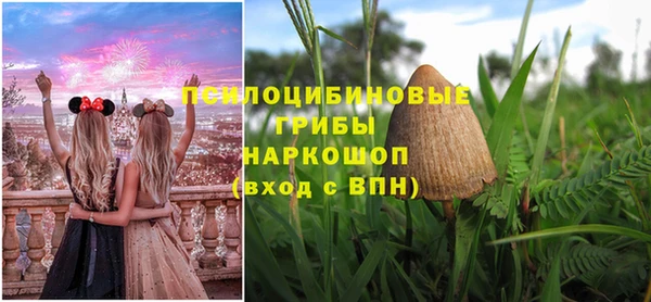 сатива Нефтегорск