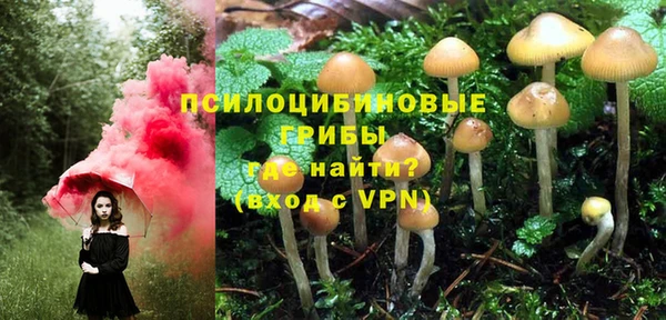 spice Нефтекумск