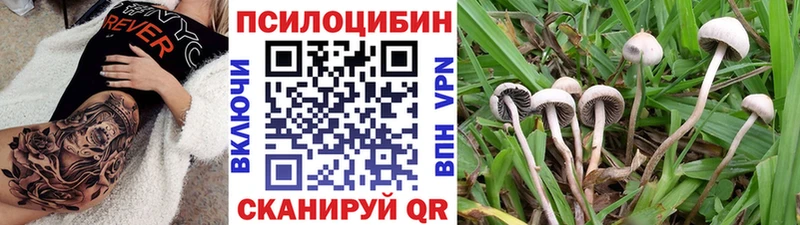 Галлюциногенные грибы MAGIC MUSHROOMS  Приволжск 