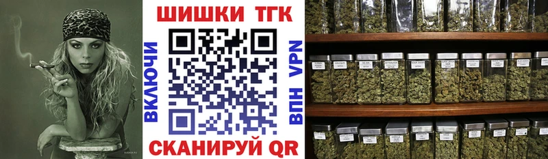 ссылка на мегу маркетплейс  Приволжск  Каннабис индика  где найти  